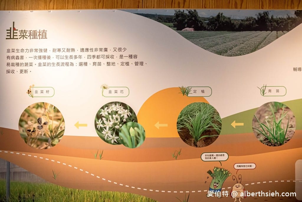 大溪河西農村體驗（中庄香草野園割韭菜/韭菜青醬DIY，南興神農永昌宮/藍晒DIY）