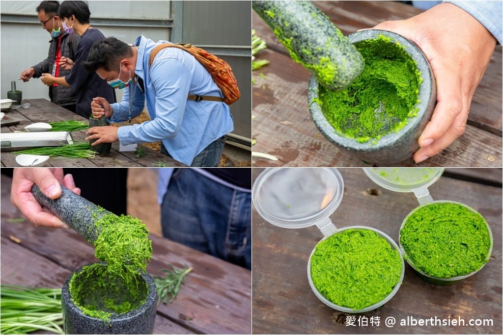大溪河西農村體驗（中庄香草野園割韭菜/韭菜青醬DIY，南興神農永昌宮/藍晒DIY）
