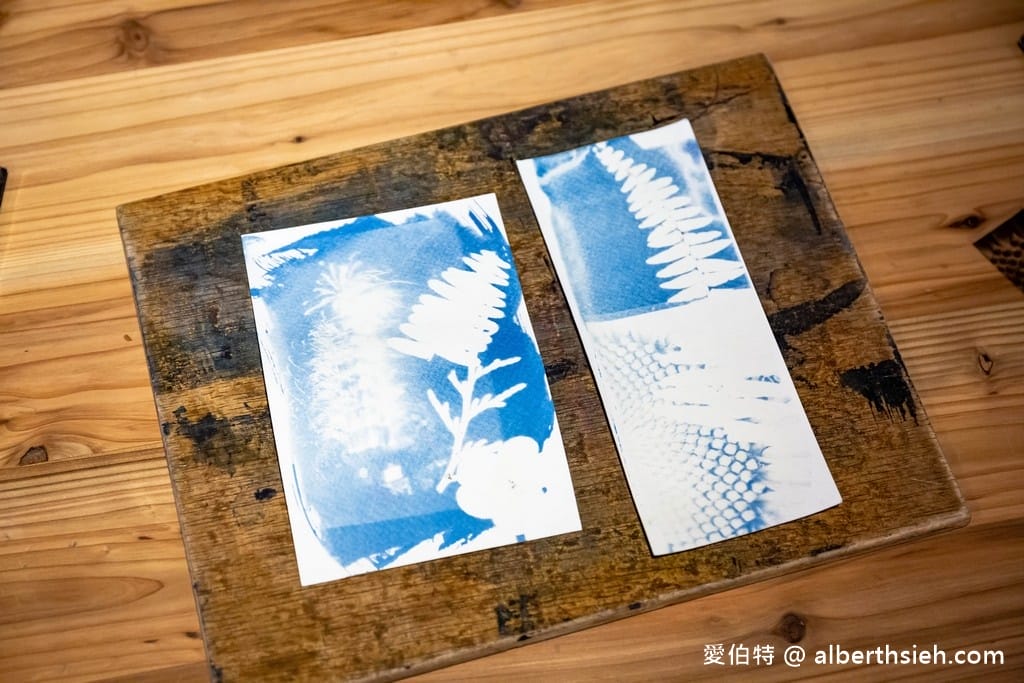 大溪河西農村體驗（中庄香草野園割韭菜/韭菜青醬DIY，南興神農永昌宮/藍晒DIY）