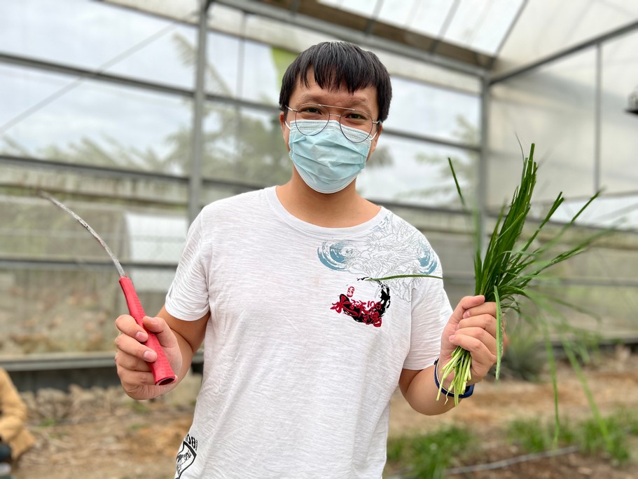 大溪河西農村體驗（中庄香草野園割韭菜/韭菜青醬DIY，南興神農永昌宮/藍晒DIY） @愛伯特