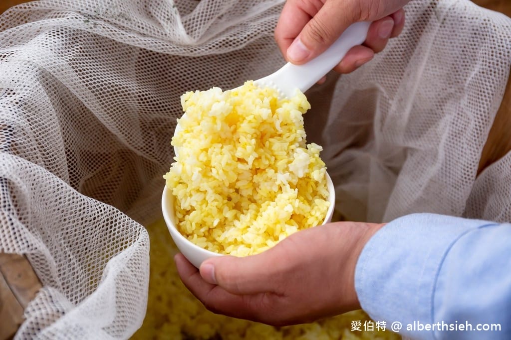 桃園大溪有機農場．香草野園（割韭菜，韭菜青醬DIY，了解韭菜的故事）