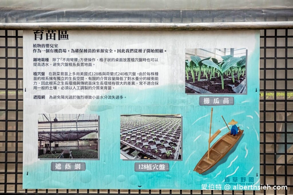 桃園大溪有機農場．香草野園（割韭菜，韭菜青醬DIY，了解韭菜的故事）