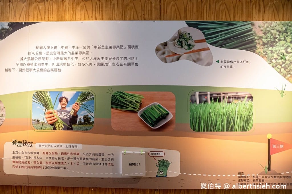 桃園大溪有機農場．香草野園（割韭菜，韭菜青醬DIY，了解韭菜的故事）