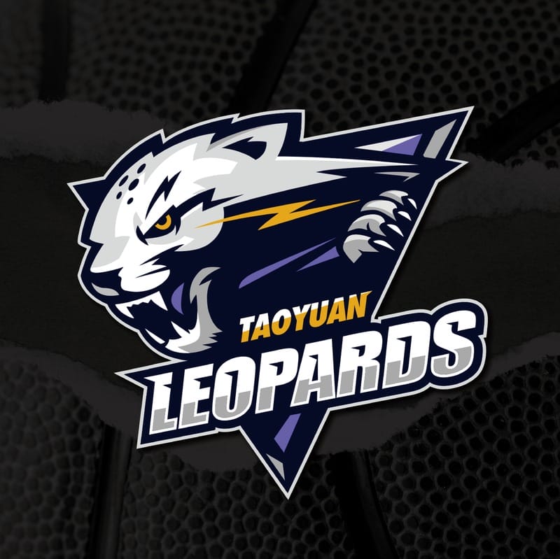 T1 League職業籃球聯盟（台灣啤酒英熊、新北中信特攻、桃園雲豹、臺中葳格太陽、臺南台鋼獵鷹和高雄全家海神）