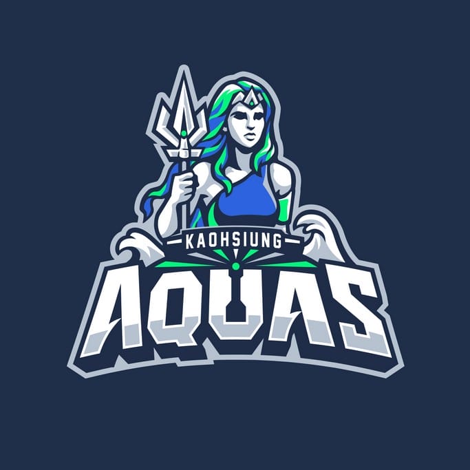 T1 League職業籃球聯盟（台灣啤酒英熊、新北中信特攻、桃園雲豹、臺中葳格太陽、臺南台鋼獵鷹和高雄全家海神）
