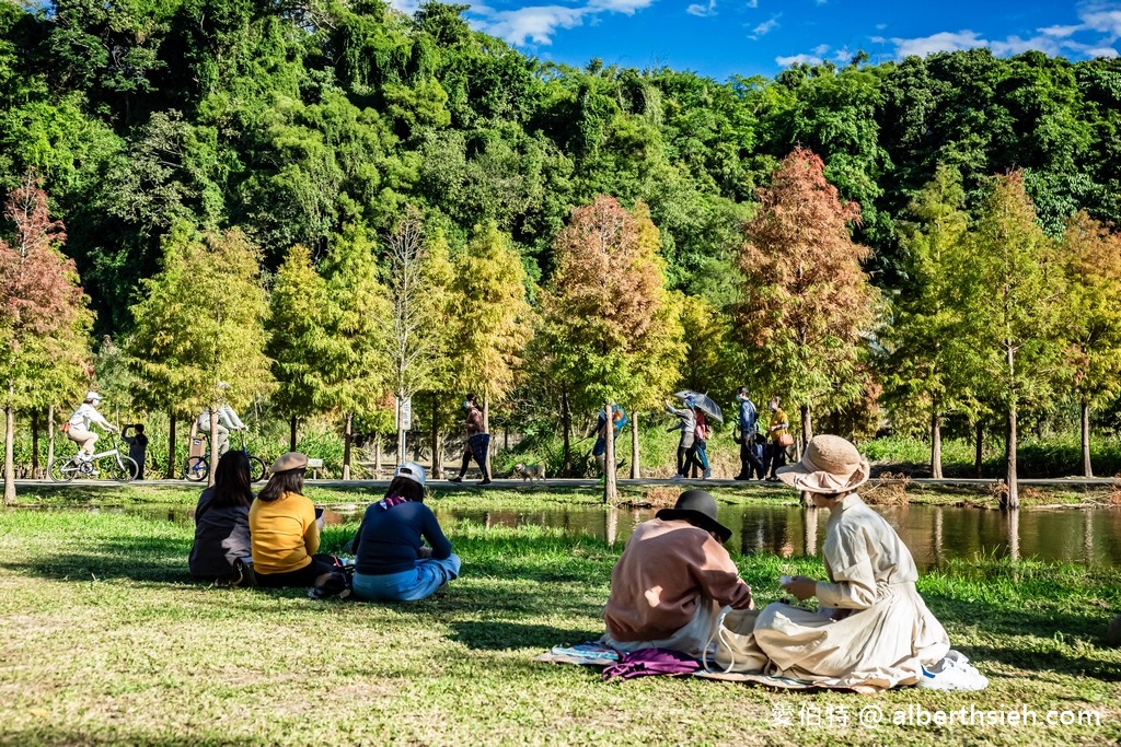 大溪月眉人工濕地生態公園．桃園落羽松（環境清幽，樹影倒映湖中超美必拍，大溪老街週邊景點） @愛伯特