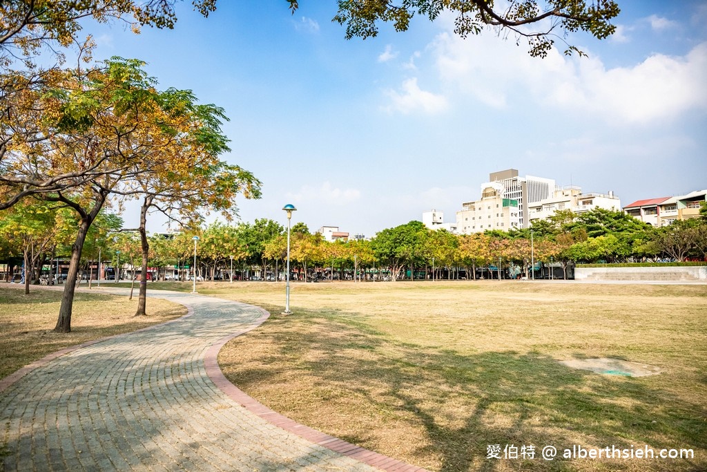 嘉義親子景點．嘉義文化公園（可愛的諸羅樹蛙遊戲場，文化路夜市就在旁邊，嘉義首座共融特色公園） @愛伯特