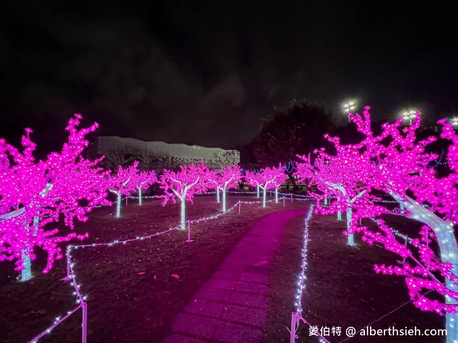 2022桃園燈會光之桃花源(位於中壢老街溪河岸/光明公園/平鎮新勢公園) - 第24張圖 2022桃園燈會光之桃花源(位於中壢老街溪河岸/光明公園/平鎮新勢公園)