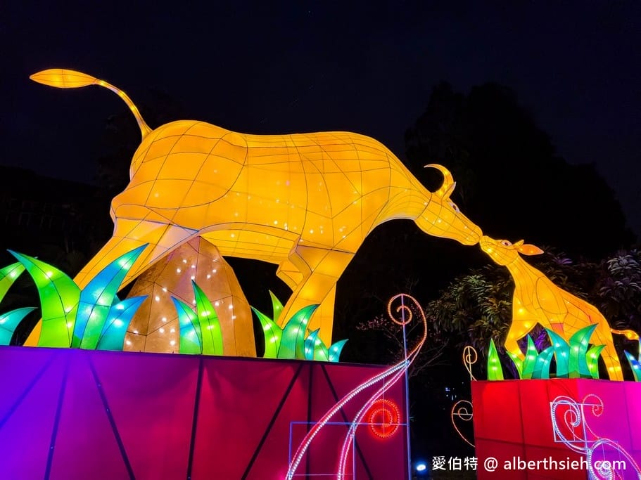 2022桃園燈會光之桃花源(位於中壢老街溪河岸/光明公園/平鎮新勢公園) - 第11張圖 2022桃園燈會光之桃花源(位於中壢老街溪河岸/光明公園/平鎮新勢公園)