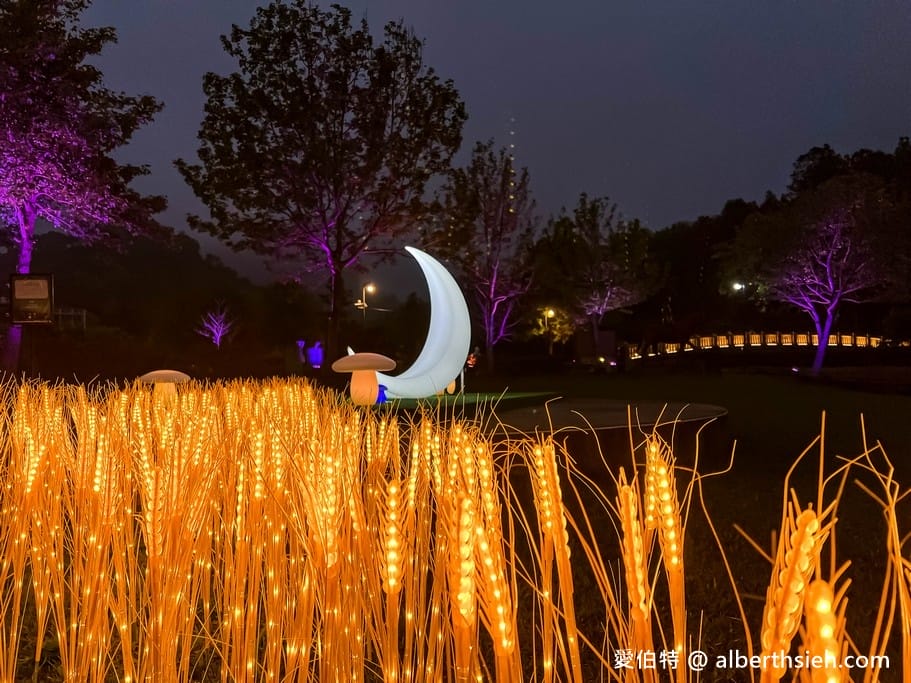 夜遊慈湖水岸光影季．桃園最新夜景景點（玫瑰花、黃金稻燈海、光雕秀等超美光影裝置隨你拍）