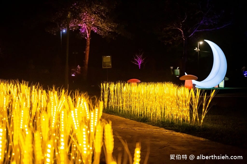 夜遊慈湖水岸光影季．桃園最新夜景景點（玫瑰花、黃金稻燈海、光雕秀等超美光影裝置隨你拍）