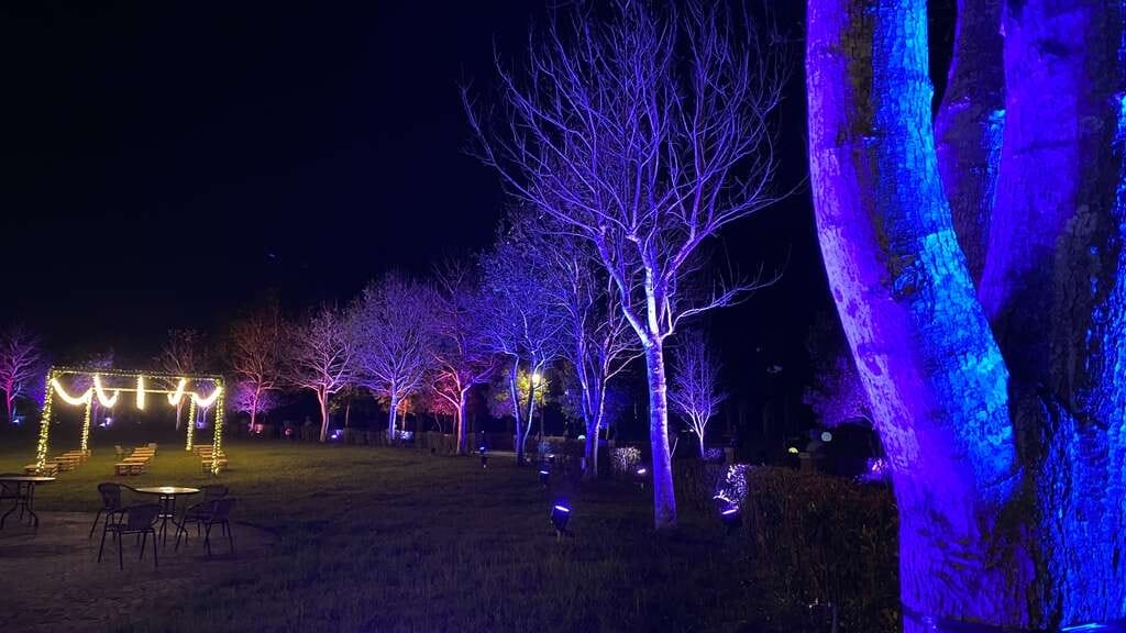 夜遊慈湖水岸光影季．桃園最新夜景景點（玫瑰花、黃金稻燈海、光雕秀等超美光影裝置隨你拍）