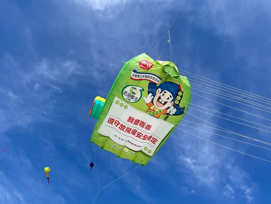 2022桃園國際風箏節（4/09,10鯨奇之旅，造型風箏秀、特技風箏表演、風箏DIY、草地野餐）
