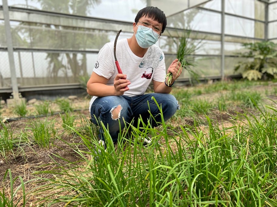 2022桃園國際風箏節（4/09,10鯨奇之旅，造型風箏秀、特技風箏表演、風箏DIY、草地野餐）