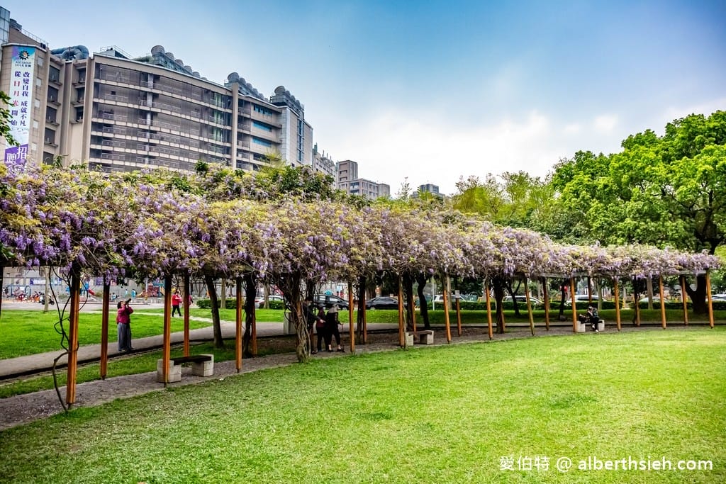 桃園中壢親子半日遊行程．元生公園＆星河親子公園（150米浪漫紫藤花棚隨你拍，三組大型遊具讓小朋友奔跑放電）￼