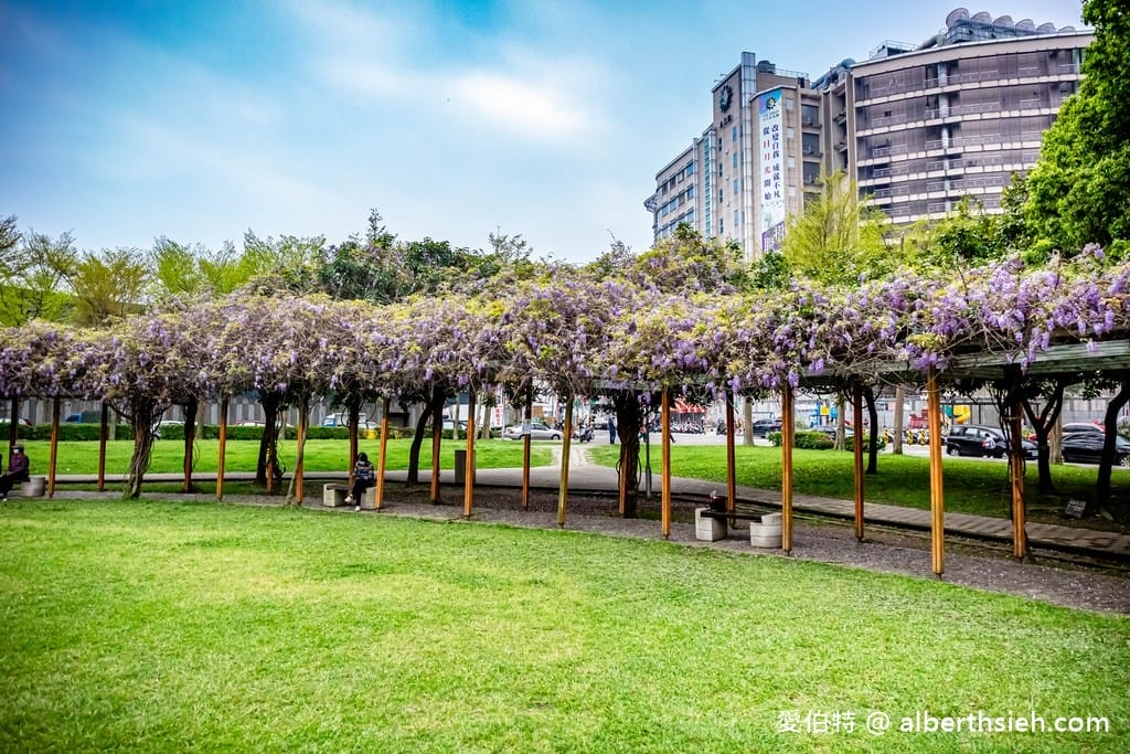 桃園中壢親子半日遊行程．元生公園＆星河親子公園（150米浪漫紫藤花棚隨你拍，三組大型遊具讓小朋友奔跑放電）￼