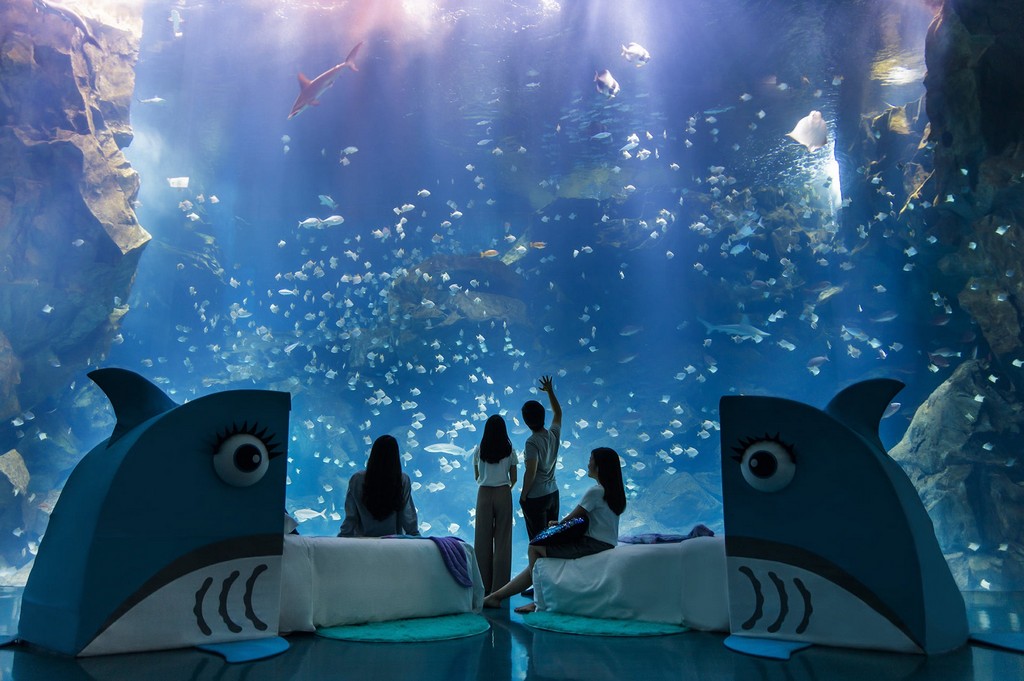 夜宿水族館。Xpark。桃園和逸（Blu Night宿海奇遇，全國唯一的星級海洋系夜宿） @愛伯特