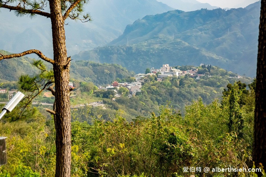 桃園復興景觀餐廳．一山景觀咖啡（視野寬闊居高臨下，角板山及石門水庫都在你腳下） @愛伯特