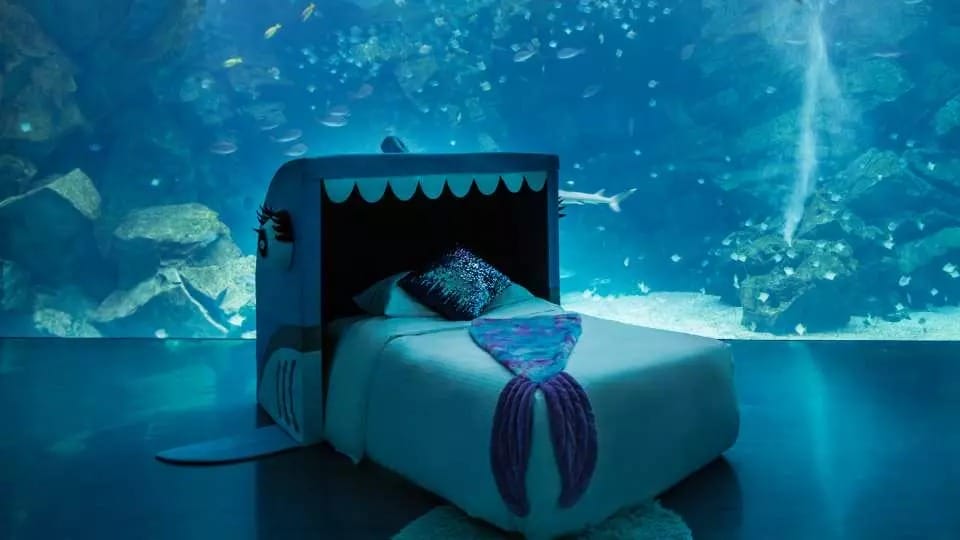 夜宿水族館。Xpark。桃園和逸（Blu Night宿海奇遇，全國唯一的星級海洋系夜宿）