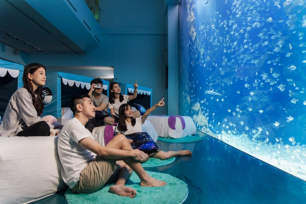 夜宿水族館。Xpark。桃園和逸（Blu Night宿海奇遇，全國唯一的星級海洋系夜宿）