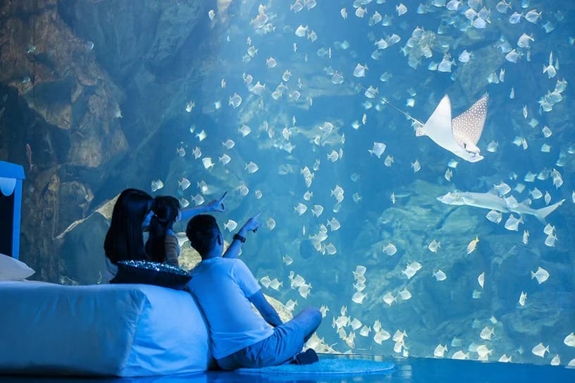 夜宿水族館。Xpark。桃園和逸（Blu Night宿海奇遇，全國唯一的星級海洋系夜宿）