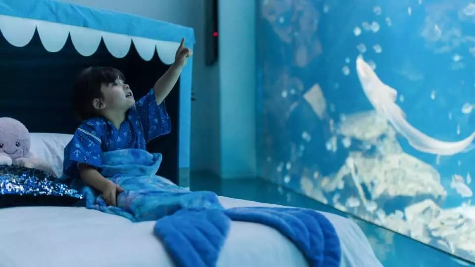 夜宿水族館。Xpark。桃園和逸（Blu Night宿海奇遇，全國唯一的星級海洋系夜宿）