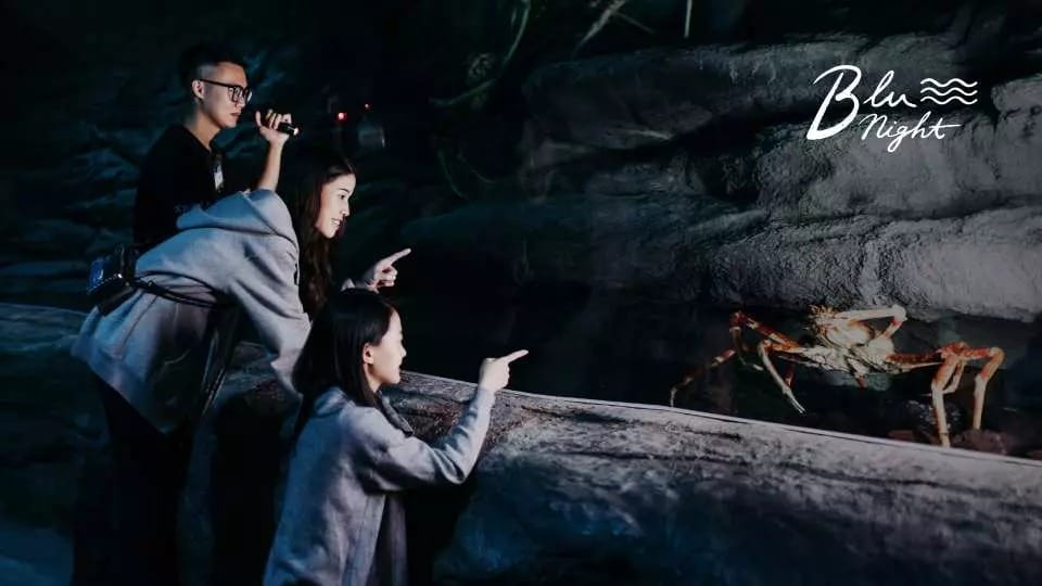 夜宿水族館。Xpark。桃園和逸（Blu Night宿海奇遇，全國唯一的星級海洋系夜宿）