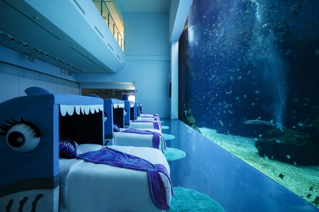 夜宿水族館。Xpark。桃園和逸（Blu Night宿海奇遇，全國唯一的星級海洋系夜宿）