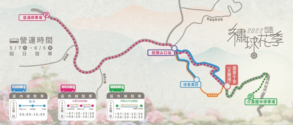 桃園繡球花季2022（超美超夢幻的繡球花海實地拍攝，萬株綻放山巒必看）