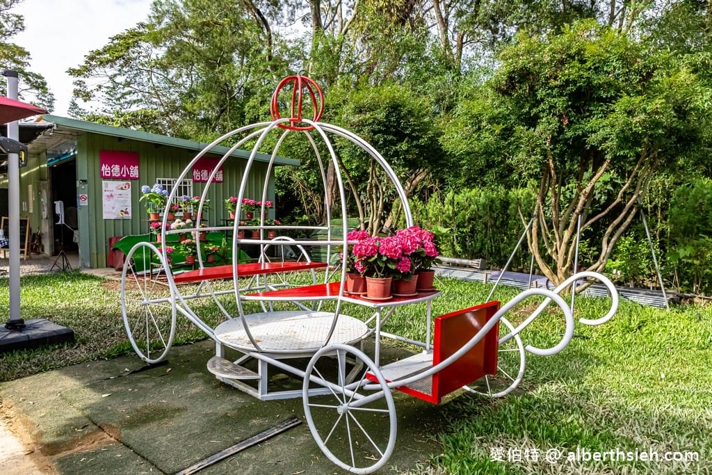 桃園繡球花季2022（超美超夢幻的繡球花海實地拍攝，萬株綻放山巒必看）