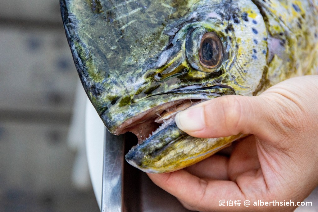 洄遊吧食魚體驗館．花蓮七星潭景點（淺顯易懂教你海洋食魚的知識） @愛伯特