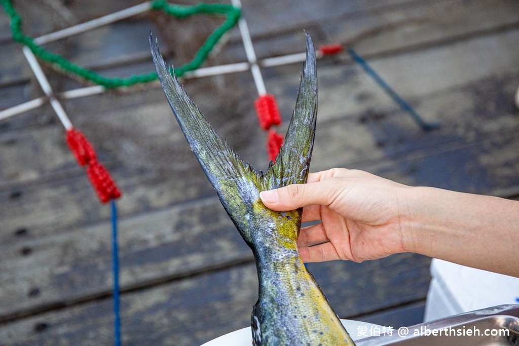 洄遊吧食魚體驗館．花蓮七星潭景點（淺顯易懂教你海洋食魚的知識） @愛伯特