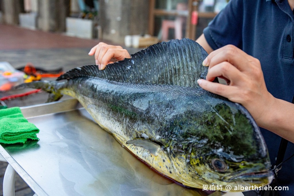 洄遊吧食魚體驗館．花蓮七星潭景點（淺顯易懂教你海洋食魚的知識） @愛伯特