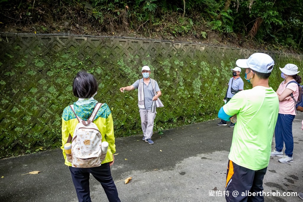 清水斷崖匯德觀景步道．花蓮秀林景點（賞蘇花夢幻牛奶海岸，大自然鬼斧神工的斷崖）￼ @愛伯特