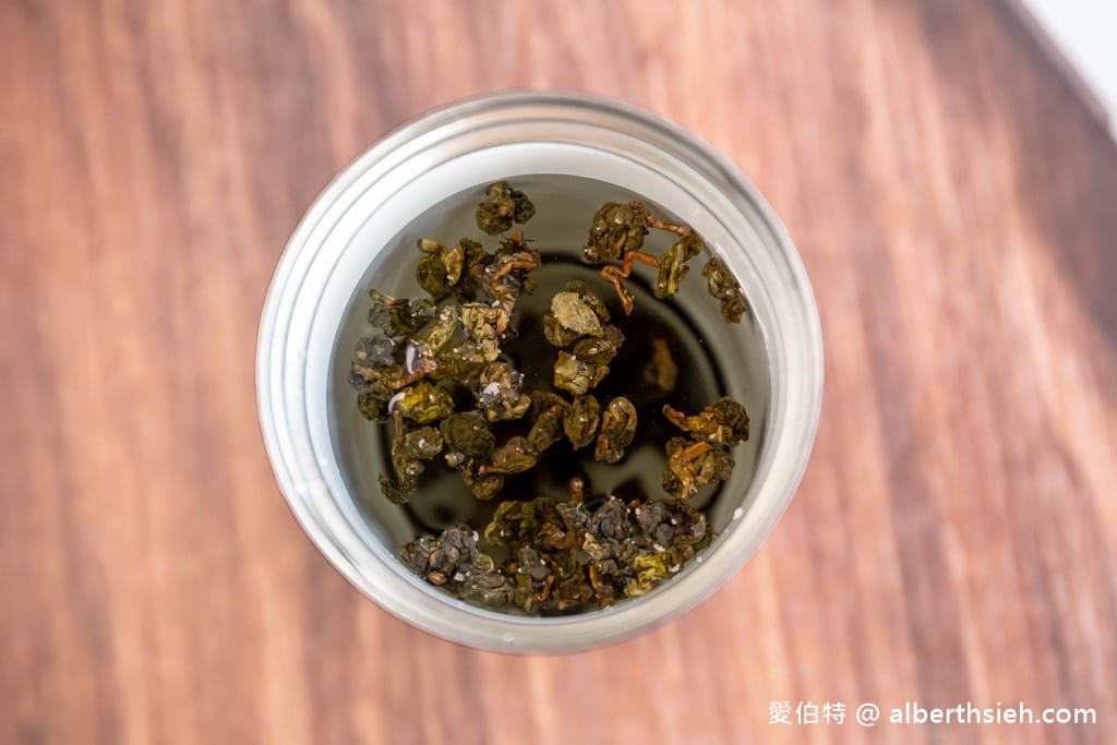 泡茶壺推薦．ECLIPSE 隨行濾茶壺（整組茶具一手掌握，透過專利茶水分離技術，隨時都可享受好茶）