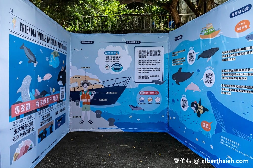 宜蘭一日遊（夏季最Chill的賞鯨之旅，在地漁村吃海鮮，龜山島海景第一排喝咖啡）