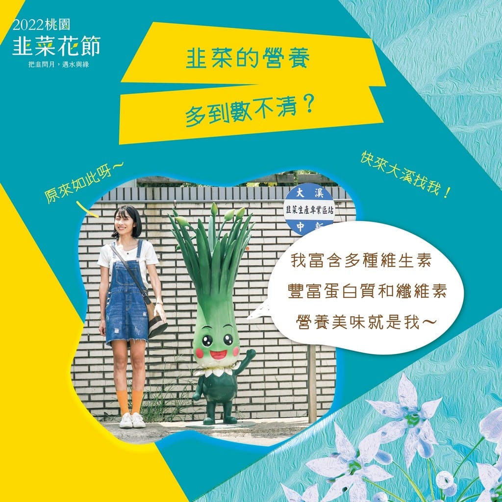 2022桃園韭菜花節．大溪韭月雪（九月雪賞花花期，活動交通地址，一日遊推薦）