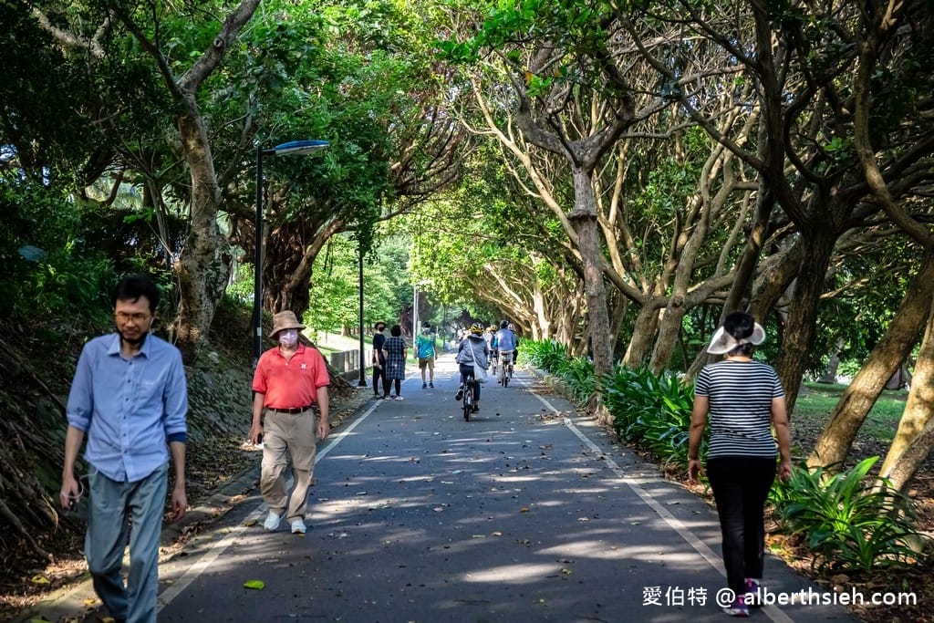 花蓮臨港線自行車道(兩潭自行車道)（連接太平洋公園有著超美海景，在地人的運動路線）