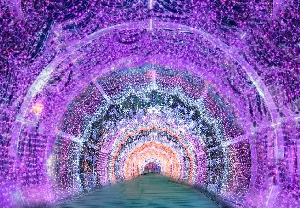 新北板橋耶誕城2022（迪士尼雪白之城，雪寶聖誕樹，時間/地點/演唱會）