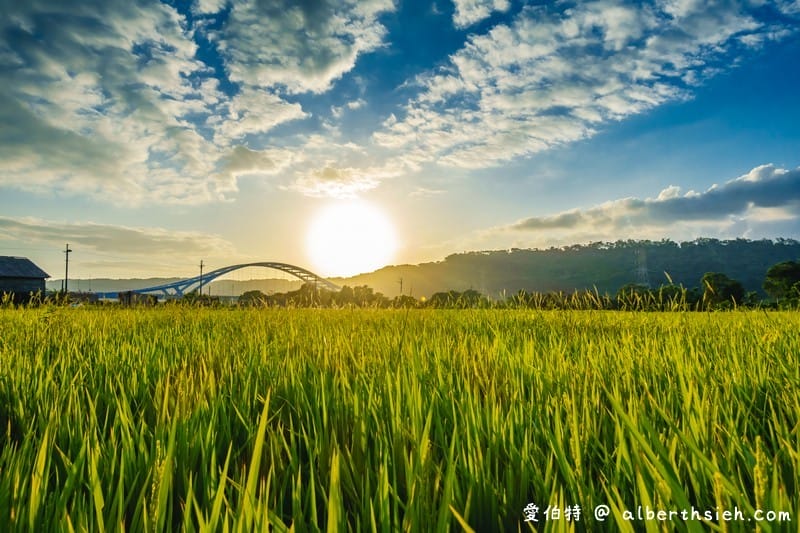桃園花彩節大溪一日遊，愛伯特推薦八條旅遊景點行程懶人包