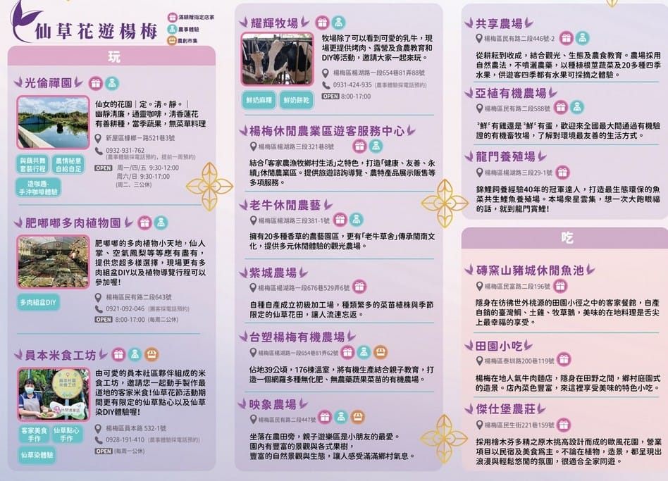 2022桃園仙草花節怎麼去？一日遊？桃園版薰衣草花海/超美紫爆仙境/交通交管/接駁車/停車位置）