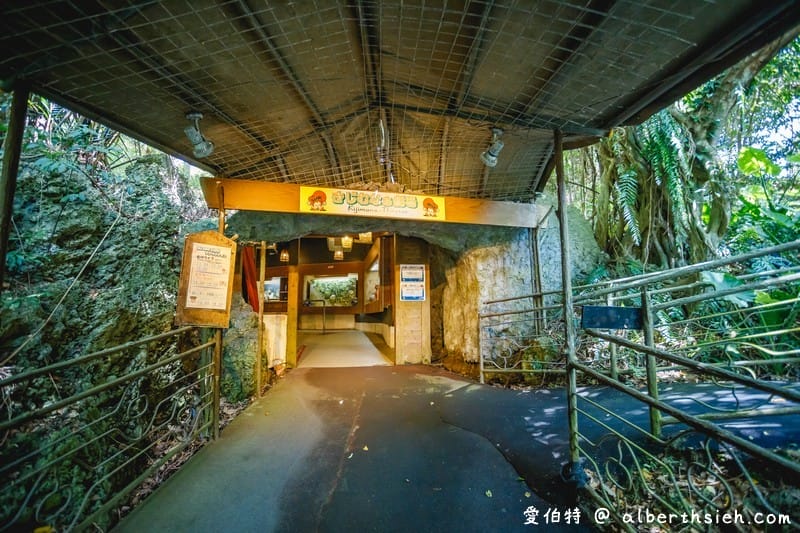 沖繩景點．琉球村（體驗琉球文化，欣賞傳統古宅三線琴表演）