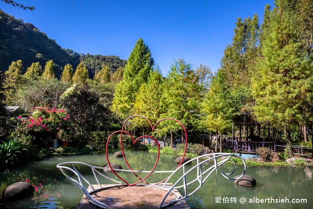 楓樺台一渡假村．南投埔里親子住宿（滿滿芬多精，綠意盎然還有冷熱雙湯池超舒適）