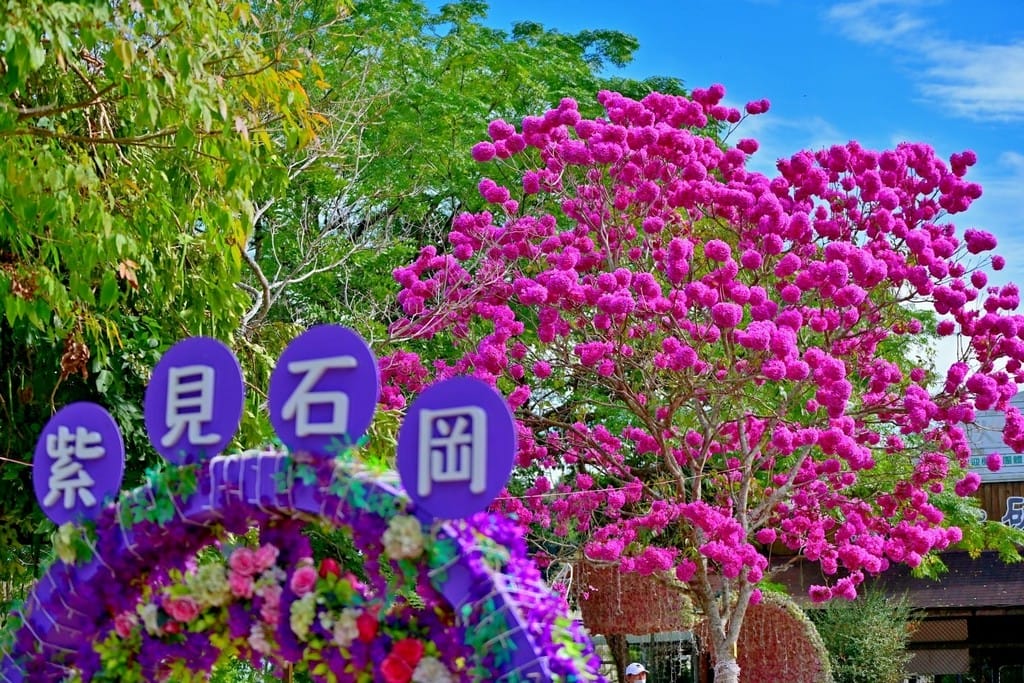 2022石岡花漾藝術燈節（12/17-2023/02/05，七大主題燈區，鬱金香花展，紅花風鈴木）