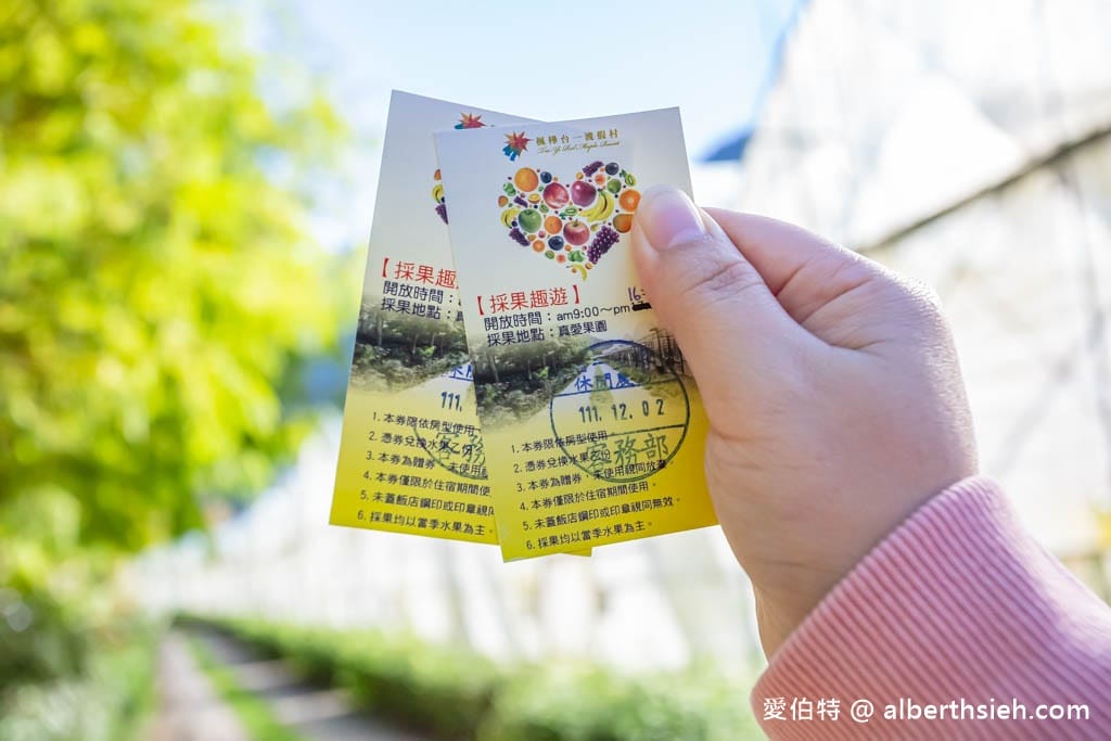 南投埔里採草莓推薦．台一生態休閒農場（無毒草莓季開跑，草莓盒隨你裝到滿最低只要150）