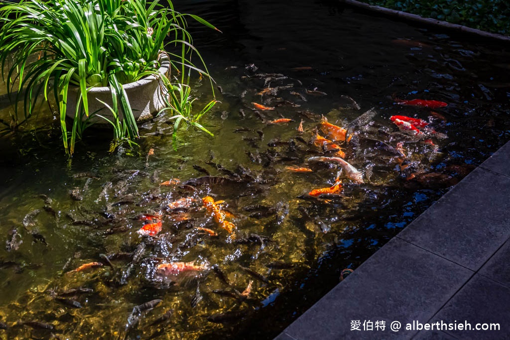 楓樺台一渡假村．南投埔里親子住宿（滿滿芬多精，綠意盎然還有冷熱雙湯池超舒適） @愛伯特