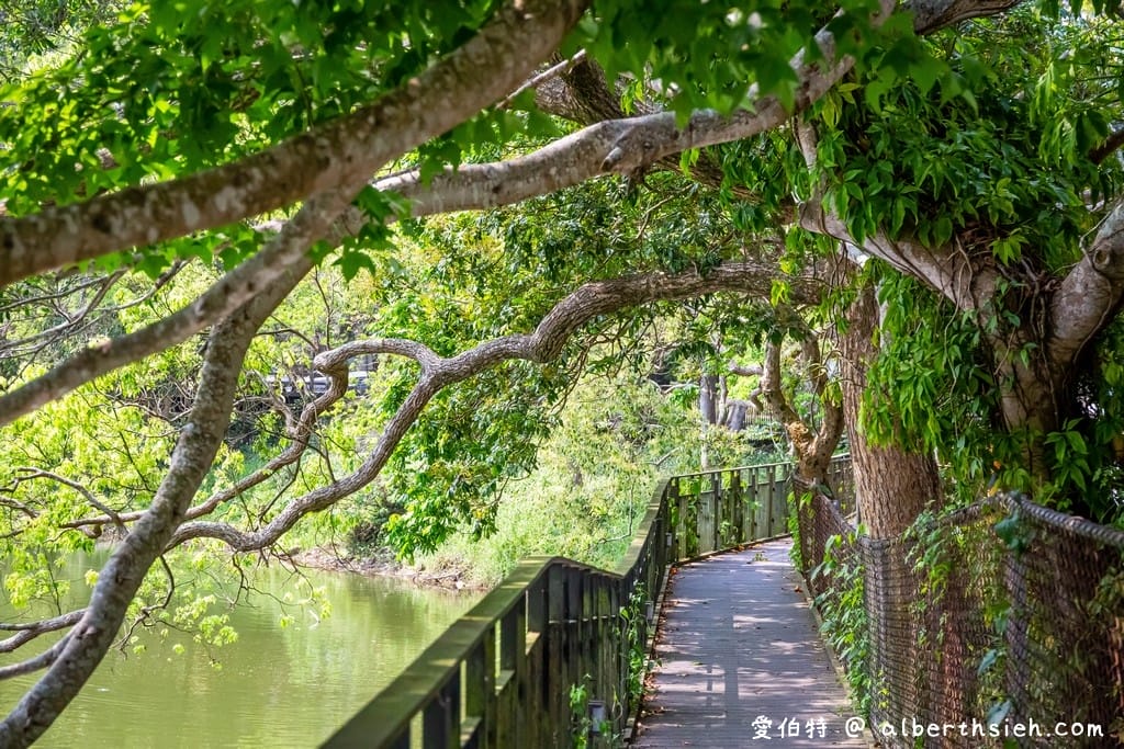 西湖渡假村映象水岸.苗栗三義美食(峇里島風湖畔景觀咖啡廳,還可以踩天鵝船) - 第7張圖 西湖渡假村映象水岸.苗栗三義美食(峇里島風湖畔景觀咖啡廳,還可以踩天鵝船)