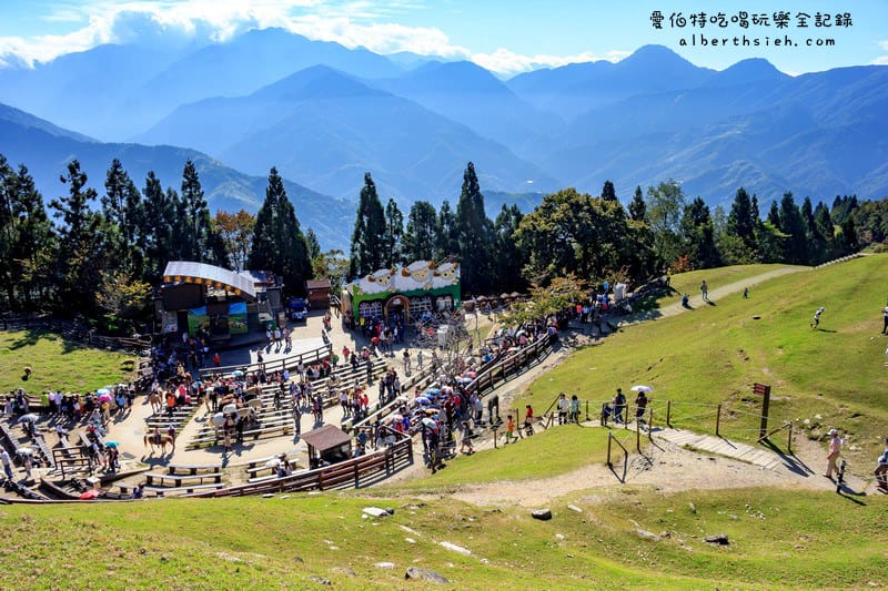 清境農場．南投仁愛景點（山景秀麗以及必看的綿羊秀和馬術秀）