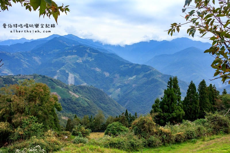 清境農場．南投仁愛景點（山景秀麗以及必看的綿羊秀和馬術秀）