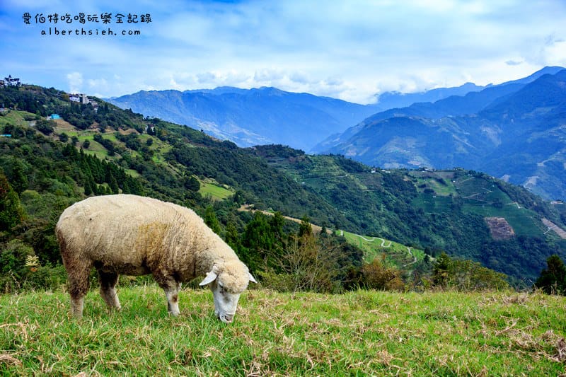 清境農場．南投仁愛景點（山景秀麗以及必看的綿羊秀和馬術秀）